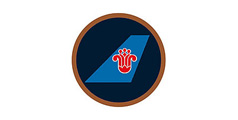 中国南方航空公司标志组合设计及VI设计