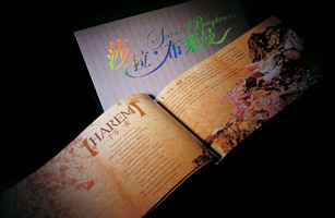 设计公司-莎拉•布莱曼2004北京演唱会节目画册设计